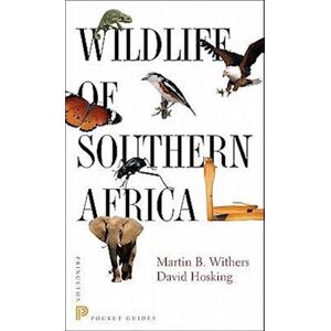 Martin B. Withers Wildlife Of Southern Africa