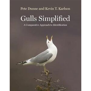 Pete Dunne Gulls Simplified