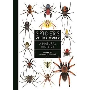 Norman Spiders Of The World