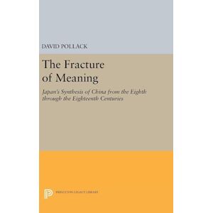 David Pollack The Fracture Of Meaning