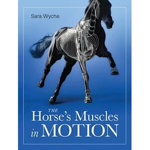 Sara Wyche Horse'S Muscles In Motion