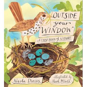 Nicola Davies Outside Your Window