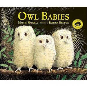 Martin Waddell Owl Babies