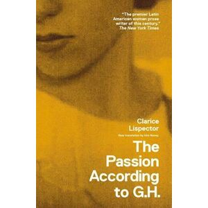 Clarice Lispector The Passion According To G.H.