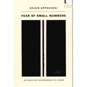 Arjun Appadurai Fear Of Small Numbers