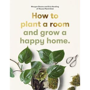 Erin Harding How To Plant A Room