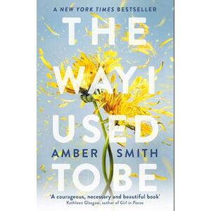 Amber Smith The Way I Used To Be