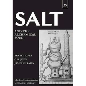 James Hillman Salt And The Alchemical Soul