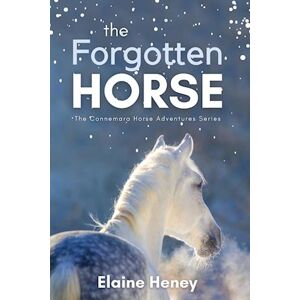 Elaine Heney The Forgotten Horse - Book 1 In The Connemara Horse Adventure Series For Kids. The Perfect Gift For Children Age 8-12.