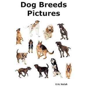 Eric Nolah Dog Breeds Pictures: Over 100 Breeds Including Chihuahua, Pug, Bulldog, German Shepherd, Maltese, Beagle, Rottweiler, Dachshund, Golden Retriever, Pom