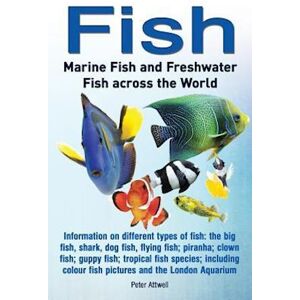 Peter Attwell Fish: Marine Fish And Freshwater Fish Across The World: Information On Different Types Of Fish: The Big Fish, Shark, Dog Fis