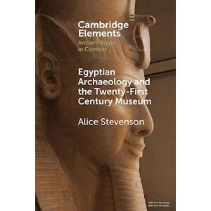 Alice Stevenson Egyptian Archaeology And The Twenty-First Century Museum