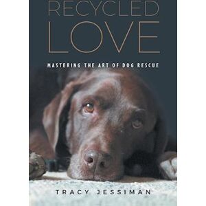 Tracy Jessiman Recycled Love: Mastering The Art Of Dog Rescue