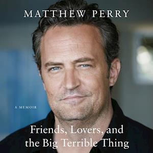 Matthew Perry Friends, Lovers, And The Big Terrible Thing