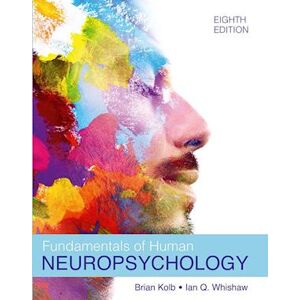 Bryan Kolb Fundamentals Of Human Neuropsychology