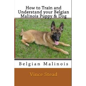 Vince Stead How To Train And Understand Your Belgian Malinois Puppy & Dog