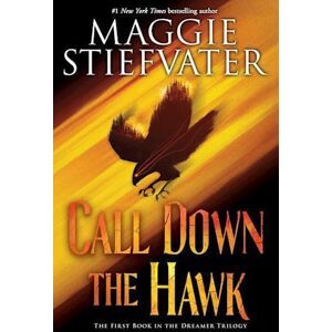 Maggie Stiefvater Call Down The Hawk (The Dreamer Trilogy, Book 1), Volume 1