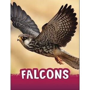 Jaclyn Jaycox Falcons