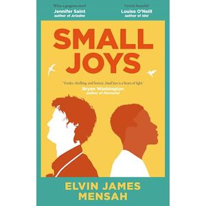 Elvin James Mensah Small Joys