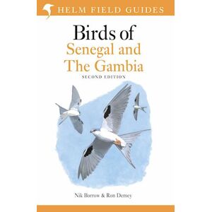 Nik Borrow Field Guide To Birds Of Senegal And The Gambia