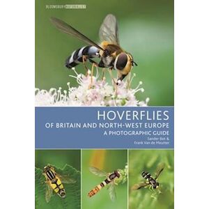 Sander Bot Hoverflies Of Britain And North-West Europe