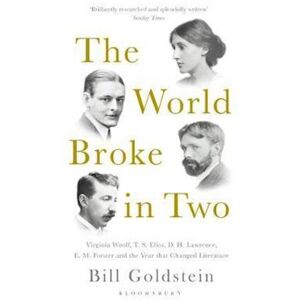 Bill Goldstein The World Broke In Two