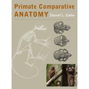 Daniel Gebo L Primate Comparative Anatomy
