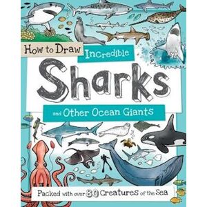 Paul Calver How To Draw Incredible Sharks And Other Ocean Giants