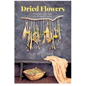 Morgane Illes Dried Flowers