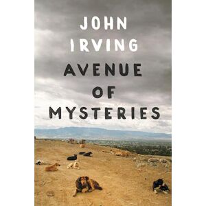 John Irving Avenue Of Mysteries