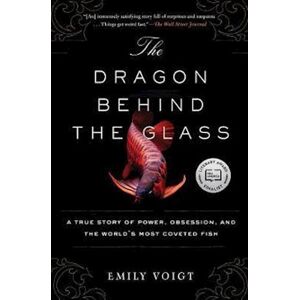 Emily Voigt The Dragon Behind The Glass