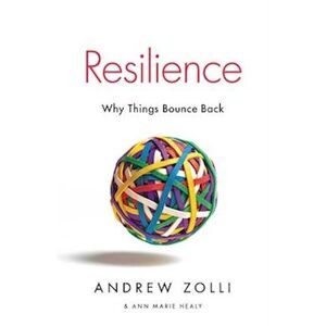 Andrew Zolli Resilience