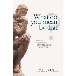 Paul Volk What Do You Mean By That?