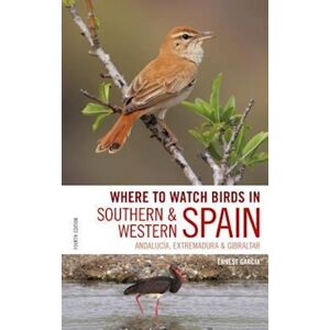 Ernest Garcia Where To Watch Birds In Southern And Western Spain
