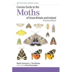 Martin Townsend Concise Guide To The Moths Of Great Britain And Ireland: Second Edition