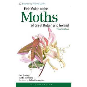 Paul Waring Field Guide To The Moths Of Great Britain And Ireland