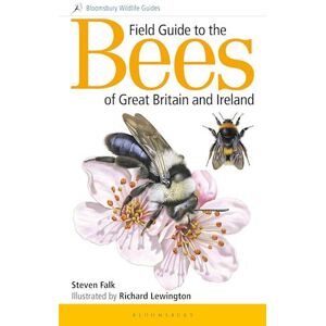 Steven Falk Field Guide To The Bees Of Great Britain And Ireland