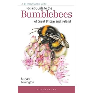 Richard Lewington Pocket Guide To The Bumblebees Of Great Britain And Ireland