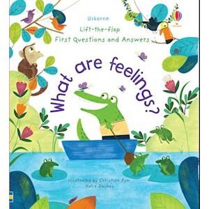 Katie Daynes First Questions And Answers: What Are Feelings?