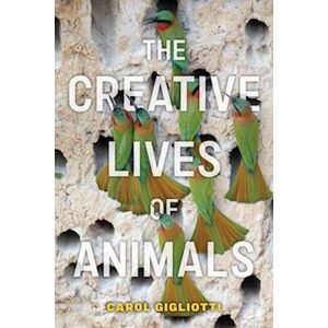 Carol Gigliotti The Creative Lives Of Animals