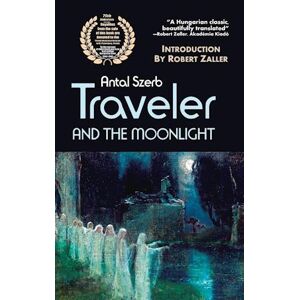 Traveler And The Moonlight