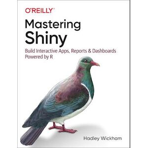 Hadley Wickham Mastering Shiny