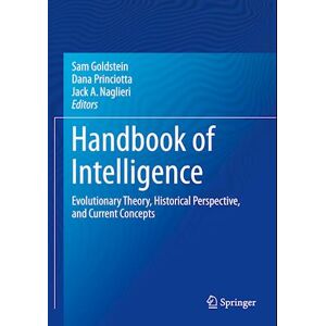 Handbook Of Intelligence
