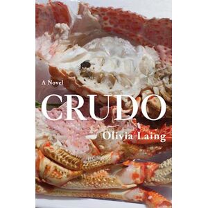 Olivia Laing Crudo