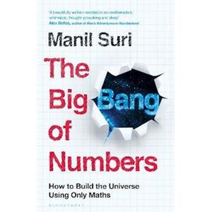 Manil Suri The Big Bang Of Numbers