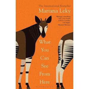 Mariana Leky What You Can See From Here