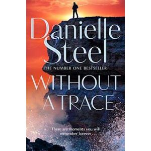 Danielle Steel Without A Trace