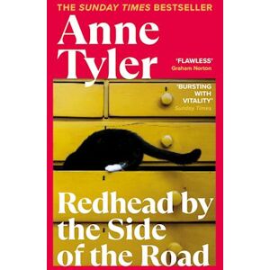 Anne Tyler Redhead By The Side Of The Road