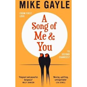 Mike Gayle A Song Of Me And You