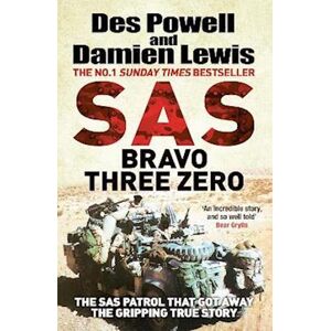 Damien Lewis Sas Bravo Three Zero